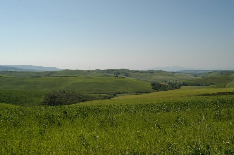 BIBBONA CAMPAGNA